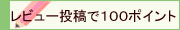 レビューをかいて100ポイント