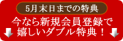 ���ʤ鿷�������Ͽ��������