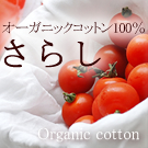 さらし活用法