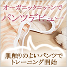 オーガニックコットン トレーニングパンツ